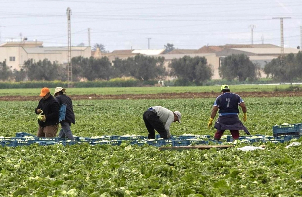 Los agricultores podrn acceder a 28,6 millones de fondos europeos para modernizar sus explotaciones